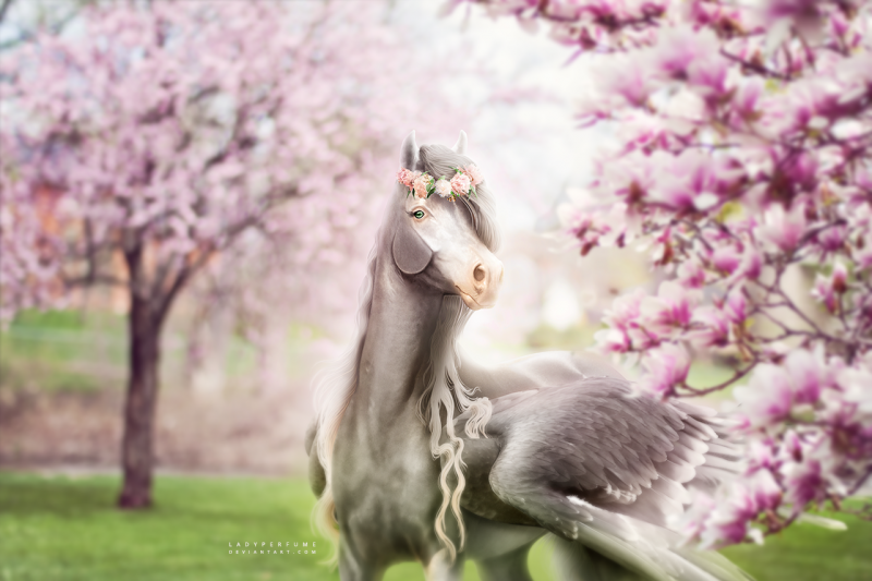 Лошадь весной