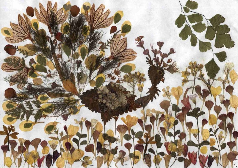 Поделки из гербарий своими руками из сухих листьев