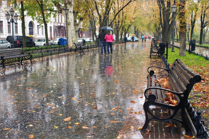 Дождливая осень в городе