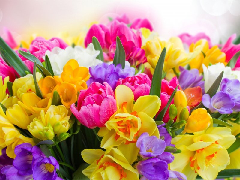 Поздравление с 8 марта белые тюльпаны
