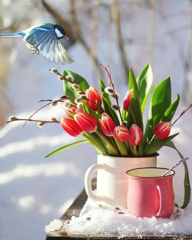 Доброе утро с цветами и пожеланиями