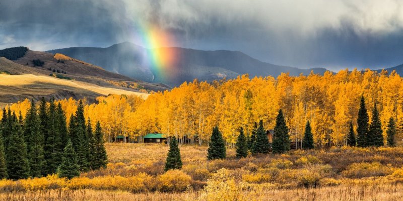 Природа Казахстана Золотая осень
