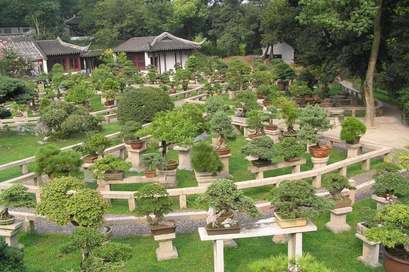Сады бонсай в Японии