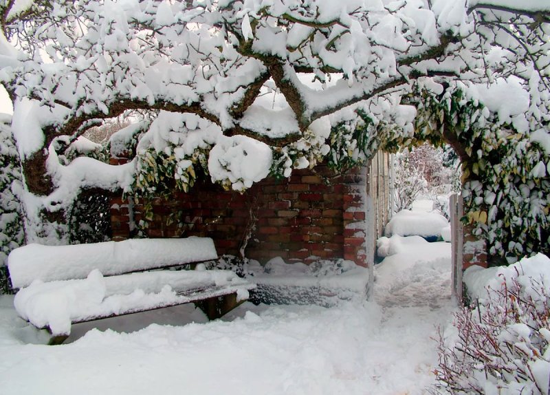 «Снег в саду» - ш.Хьюз