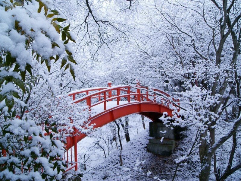 Мост в снегу