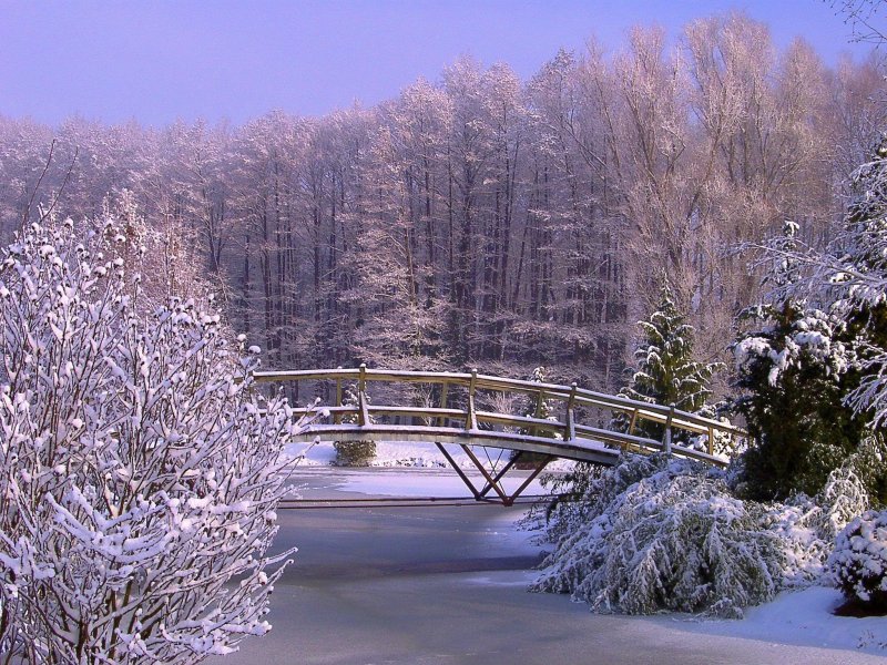Зимний пейзаж в парке