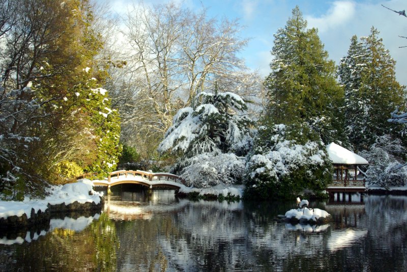 Японский сад в Ботаническом саду в Москве зимой