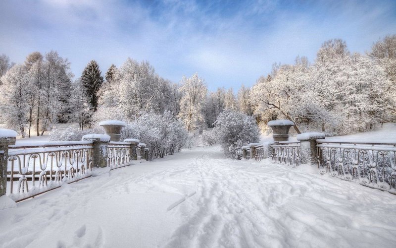 Павловский парк Санкт-Петербург в зима