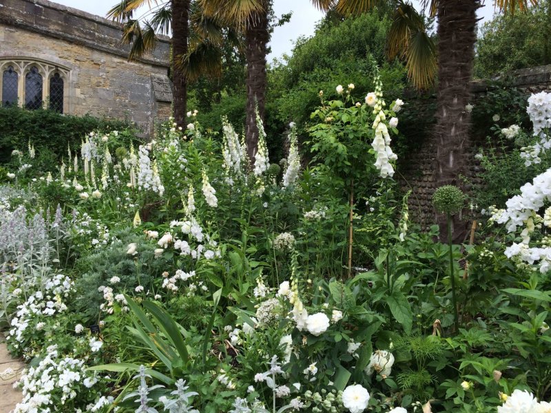 Белый сад цветник