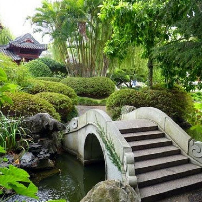 Пергола в японском саду