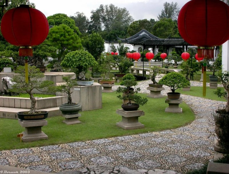 Дендра парк японский сад