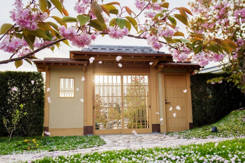 Мрия японский сад и парк