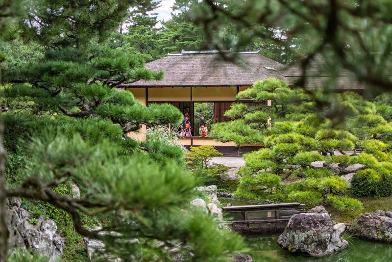 Японский сад 6 чувств Ялта