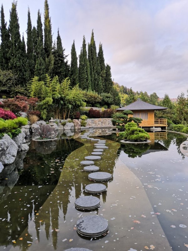 Японский сад Мрия Крым Сакура