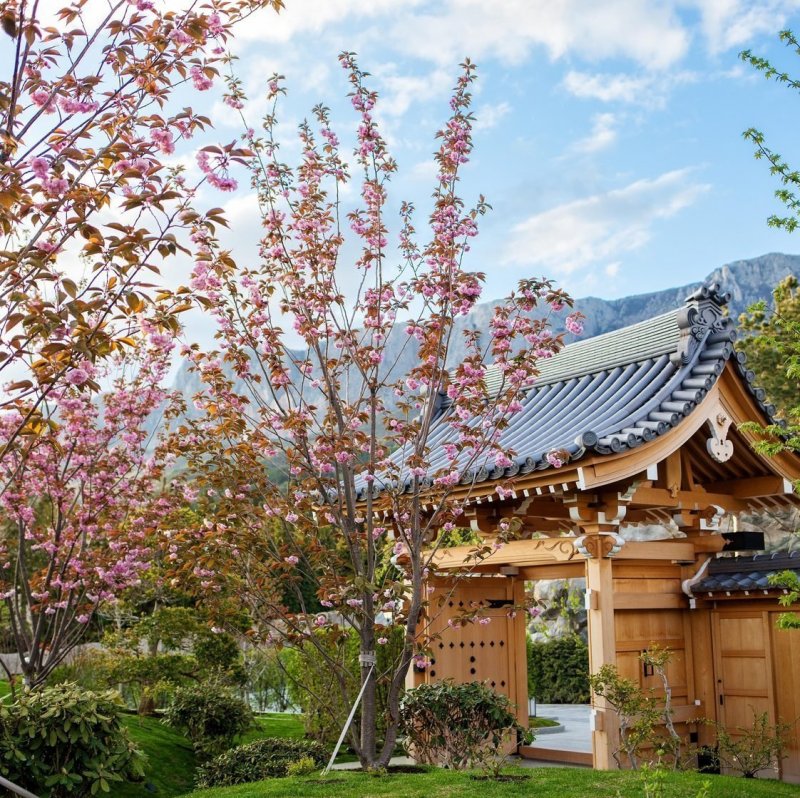Ялта японский сад шесть чувств