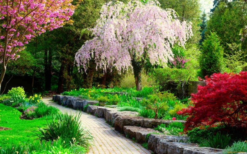 Цветочный парк в Японии