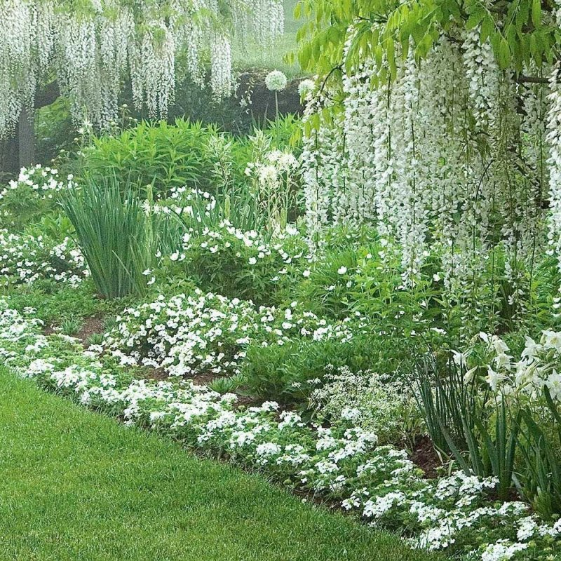 Белый сад Вест Гарден