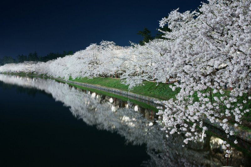 Парк цветов Урасима в Японии