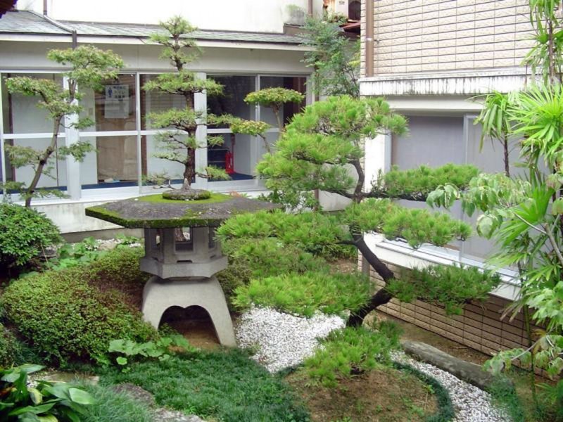 Маленький садик в японском стиле
