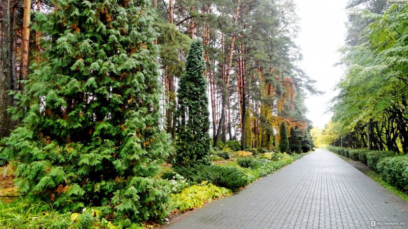Минский Ботанический сад
