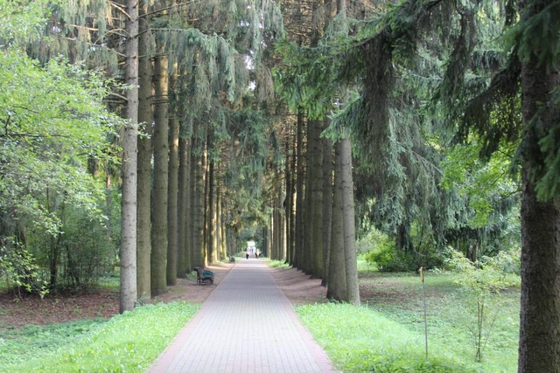 Национальный Ботанический сад Минск