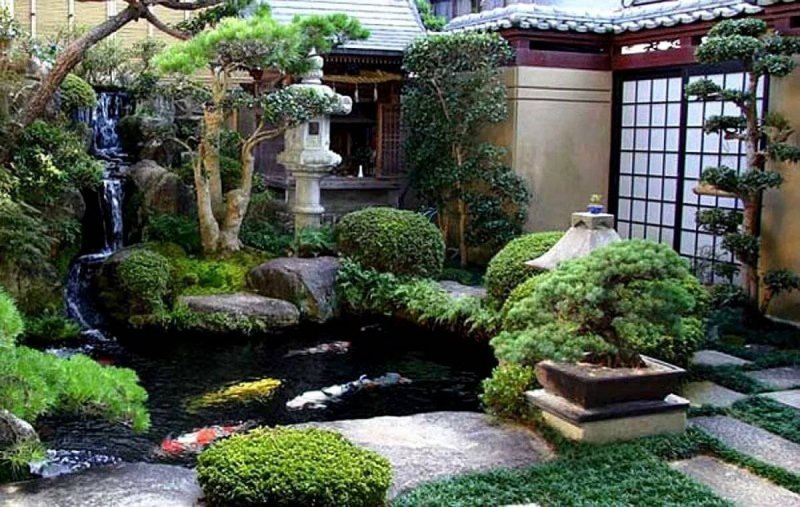 Китай сад дворик бонсай