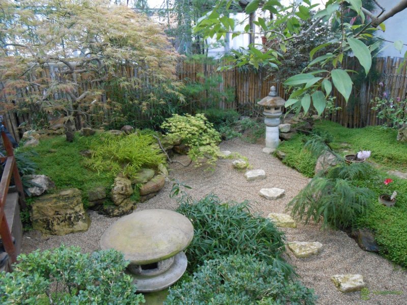 Аптекарский огород японский сад