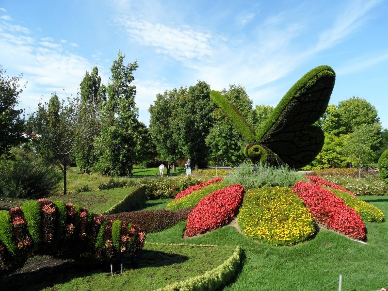 Ботанический сад Минск вход