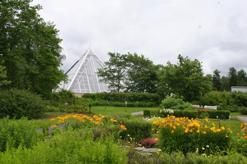 Минск парк Ботанический