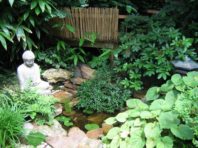 Тсубонива сад Японии