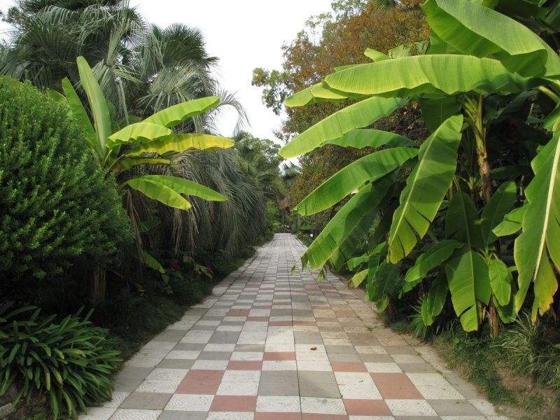 Ботанический сад Академии наук Абхазии