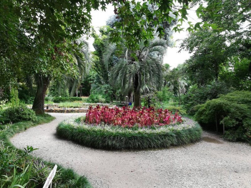 Сухумский Ботанический сад Сухум