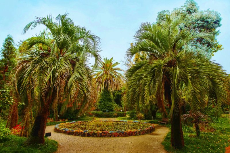 Ботанический сад Абхазия Сухум