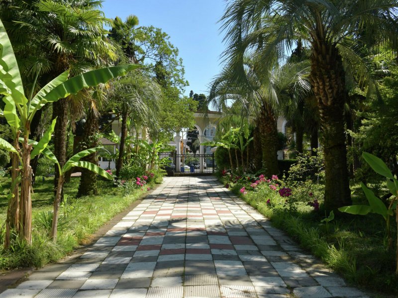 Ботанический сад Абхазия Гагра