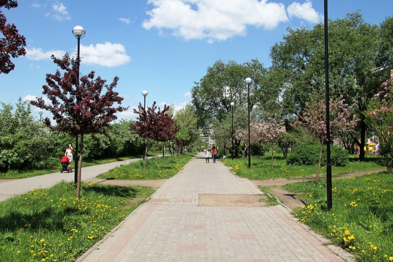 Яблоневый сад СПБ Фрунзенский район