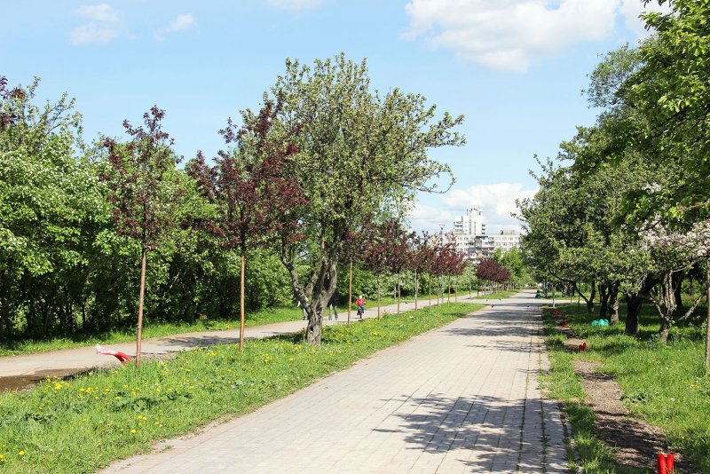 Яблоневый сад Фрунзенский район
