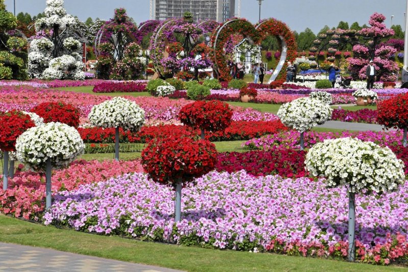 Цветочный парк Дубай вектор