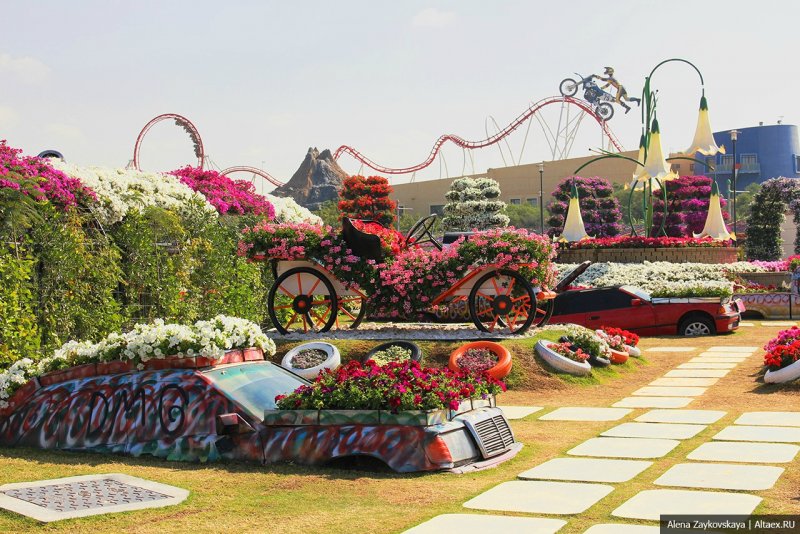 Парк цветов Miracle Garden Дубай
