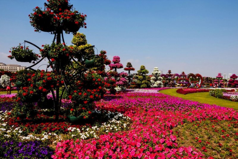 Парк «цветочный сад» Ташкент