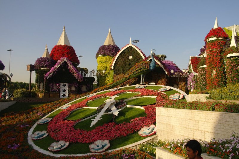 Парк цветов в Дубае Dubai Miracle Garden