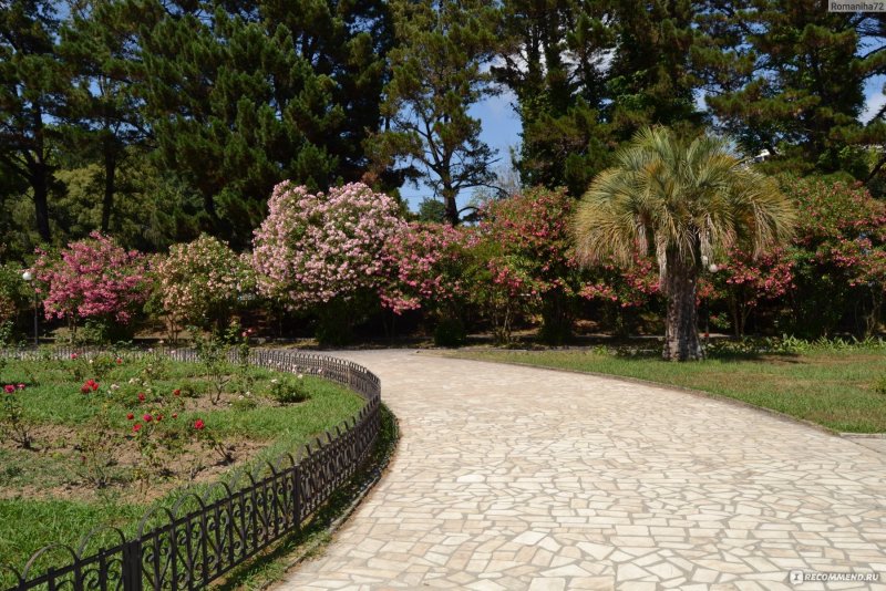Ботанический сад Сочи