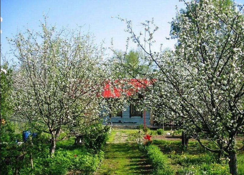 Домик в яблоневом саду