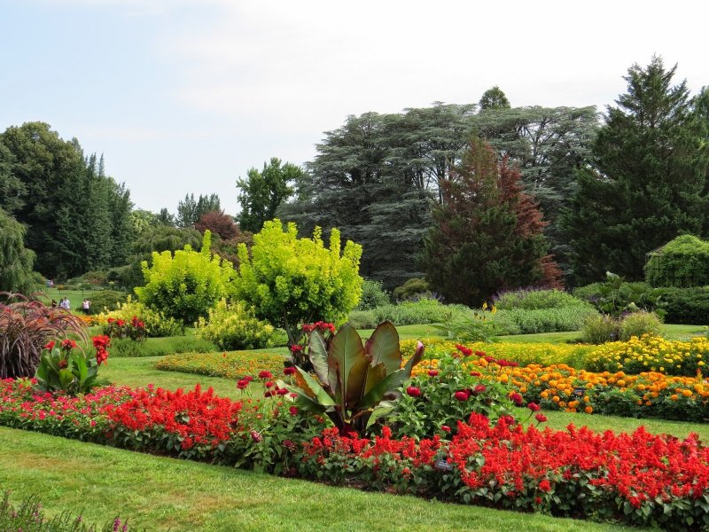 Дендропарк Ботанический сад