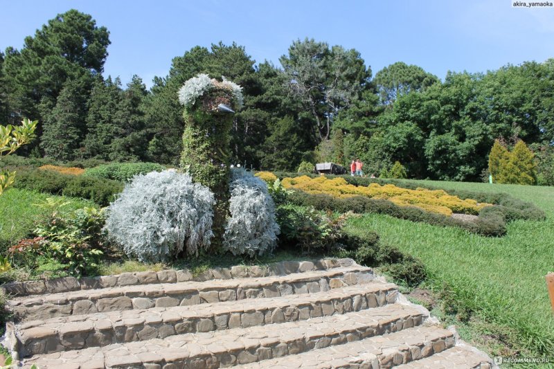Парк в Сочи с растениями