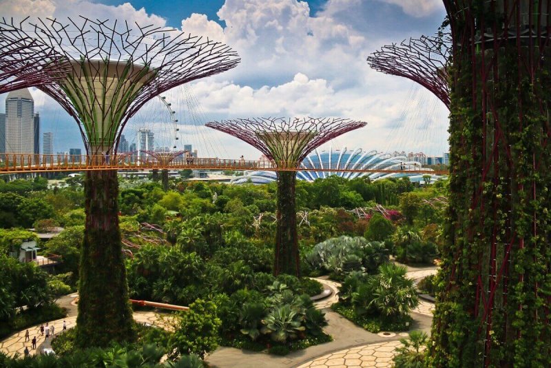 Сингапур парк сады у залива