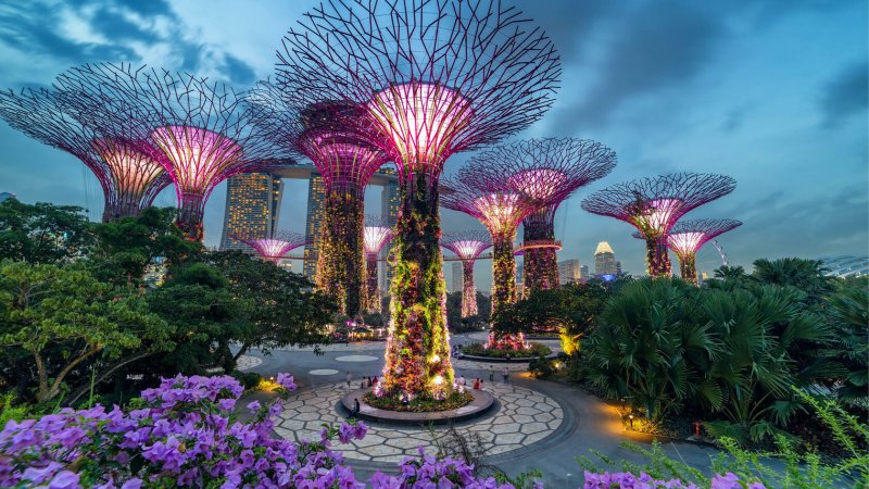 Gardens by the Bay в Сингапуре генплан