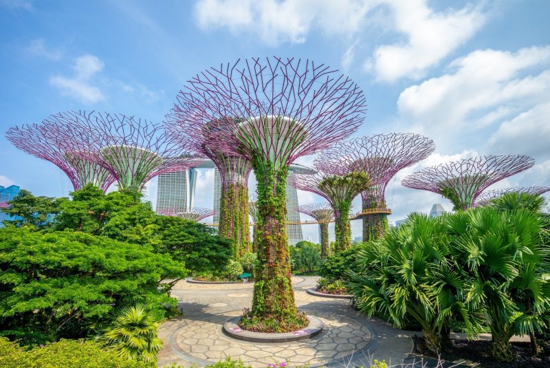 Gardens by the Bay Сингапур