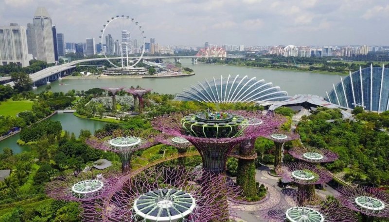 Сингапур заповедник и парки
