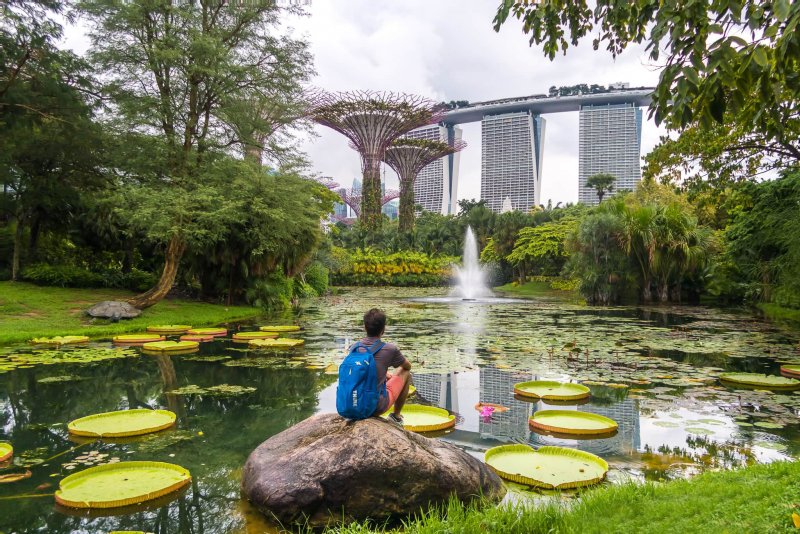 Сингапур сад Марина беи