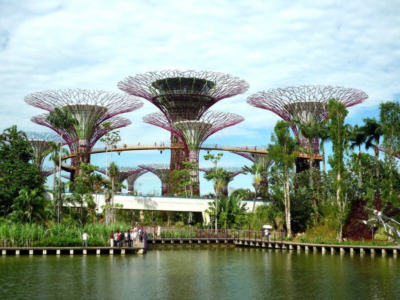 Сады у залива Марина-Бэй Сингапур